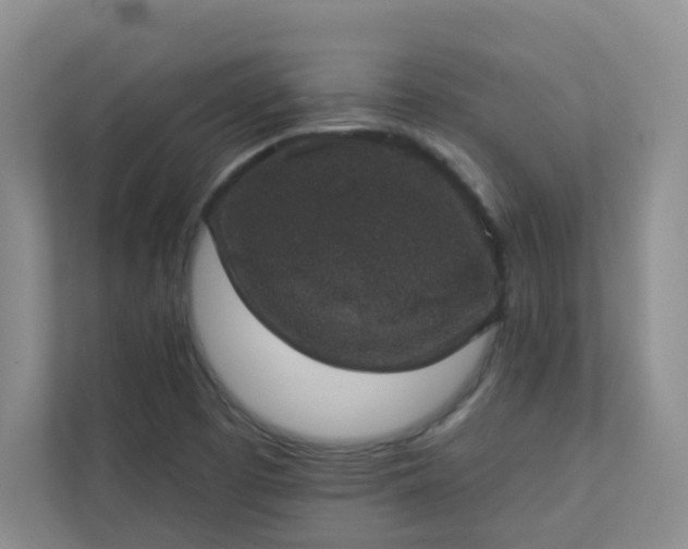 X0000113281457200909280942