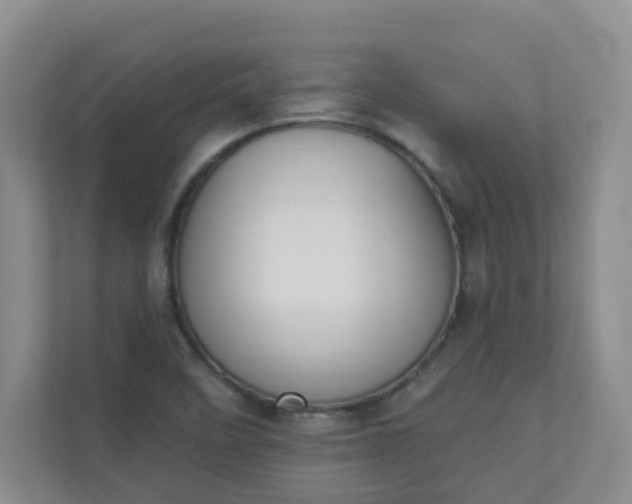 X0000113281458200909280942