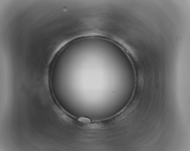 X0000113281460200909280942