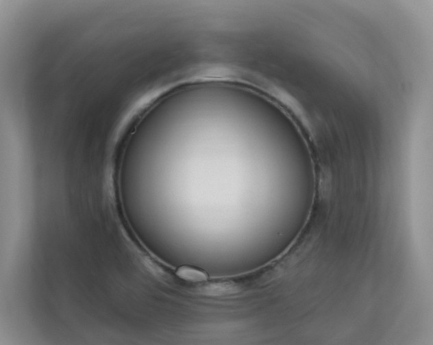 X0000113281464200909280942