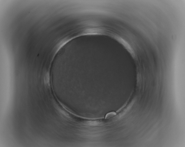 X0000113281465200909280942