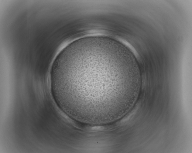 X0000113281467200909280942