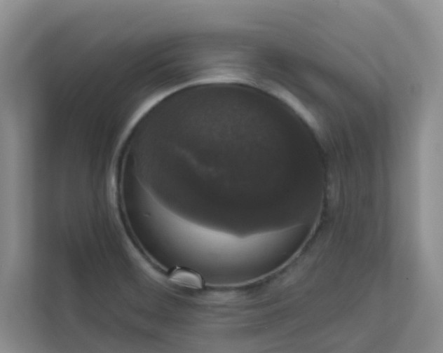 X0000113281468200909280942