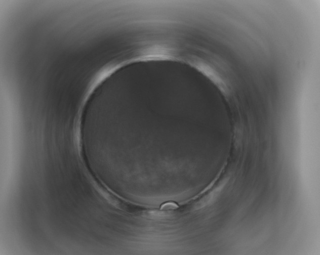 X0000113281469200909280942