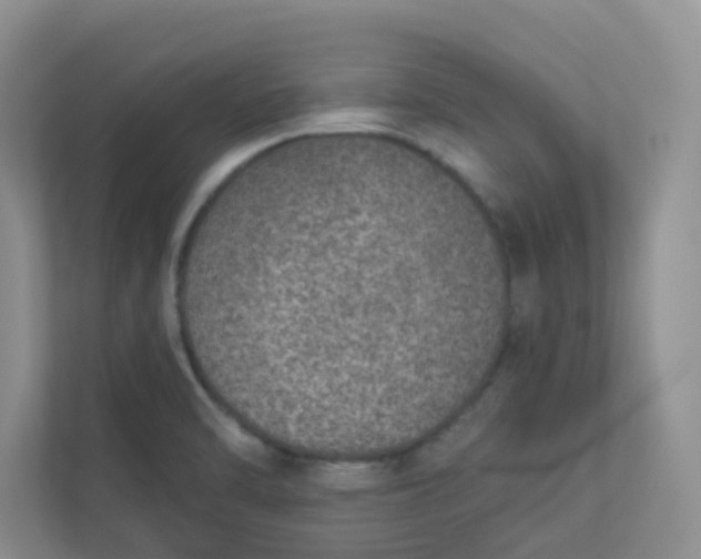 X0000113281470200909280942