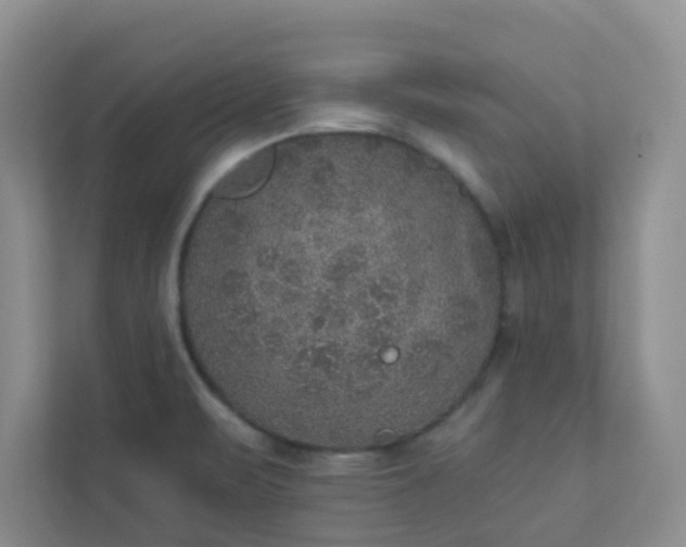 X0000113281471200909280942