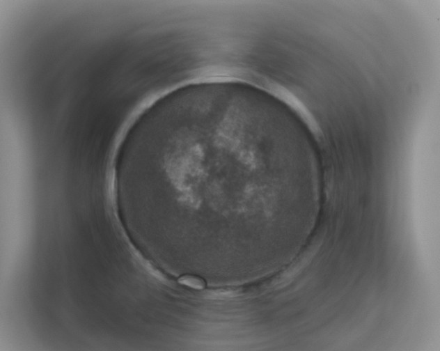 X0000113281472200909280942