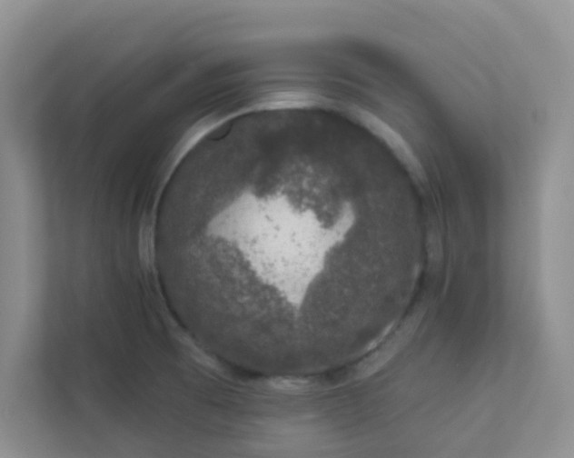 X0000113281473200909280942