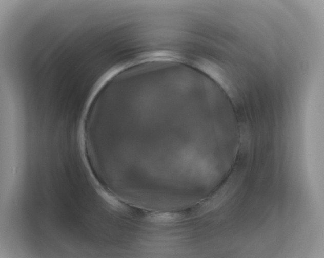 X0000113281474200909280942