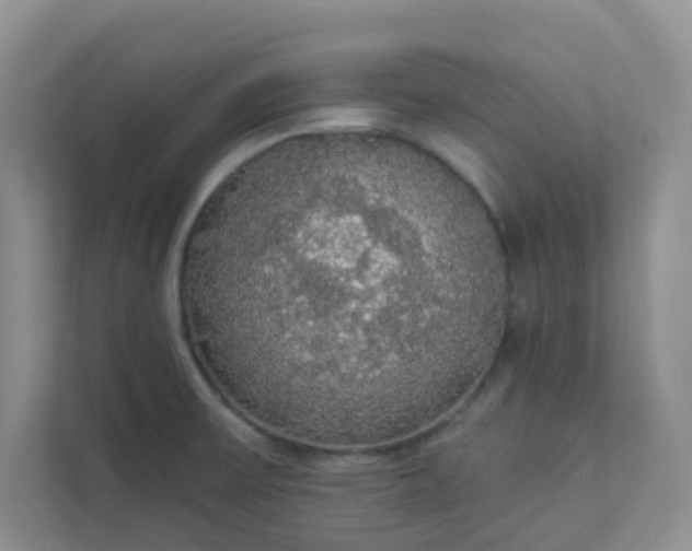 X0000113281475200909280942