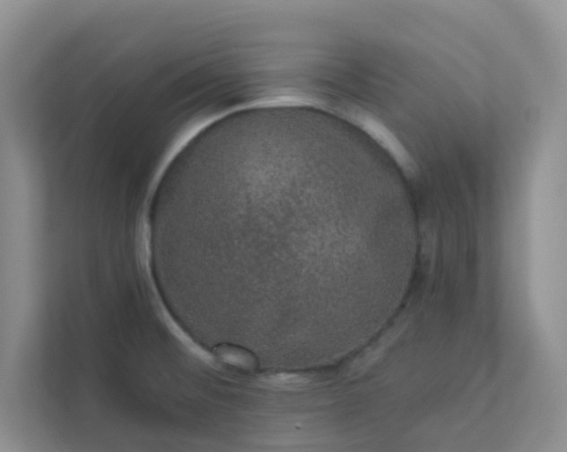 X0000113281476200909280942