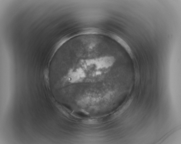 X0000113281481200909280942