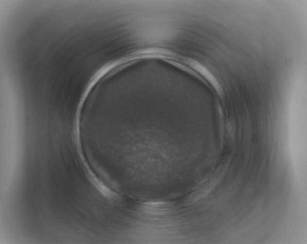 X0000113281482200909280942