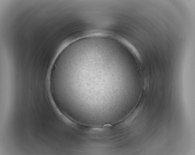 X0000113281483200909280942