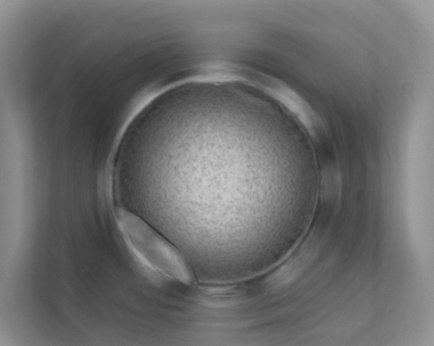 X0000113281484200909280942