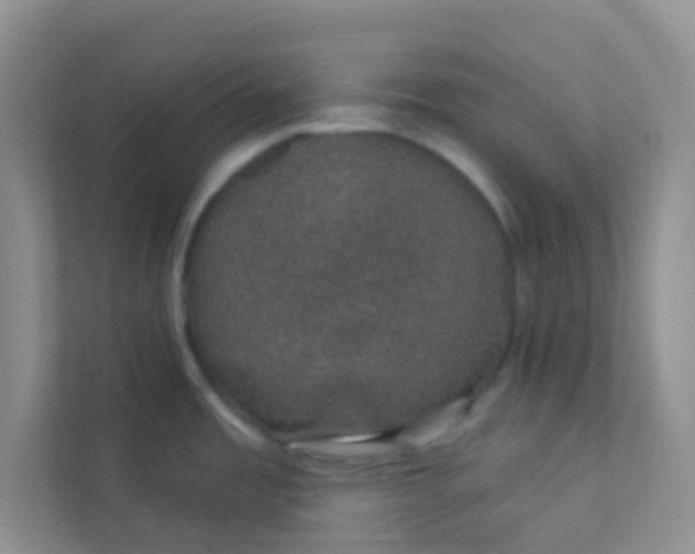 X0000113281485200909280942