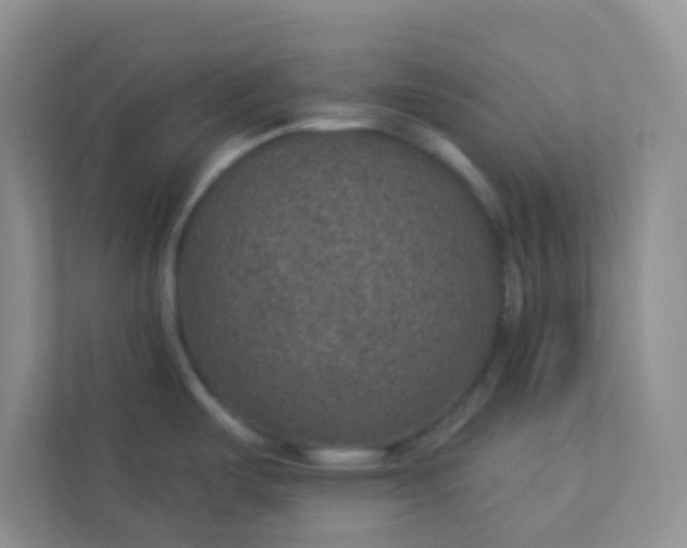 X0000113281487200909280942