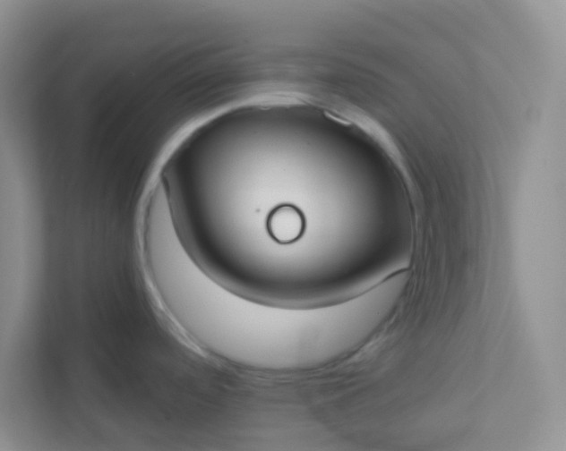 X0000113281488200909280942