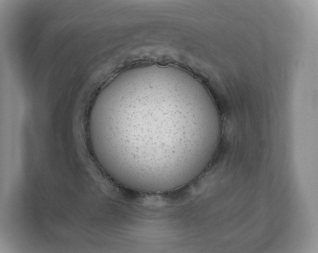 X0000113281489200909280941