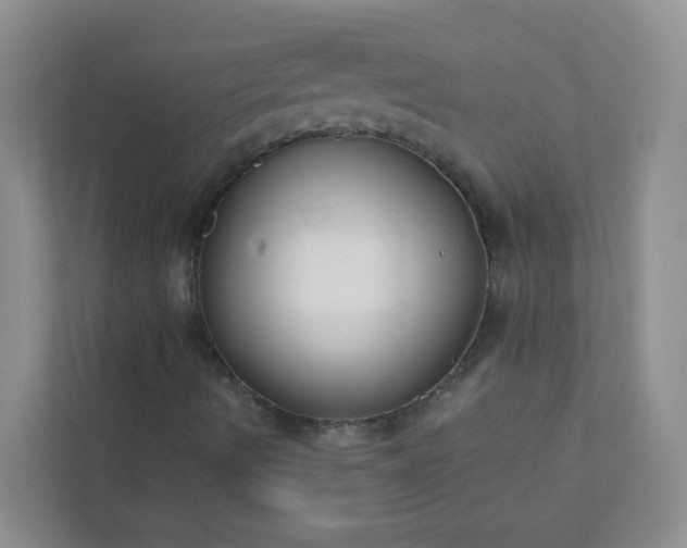 X0000113281490200909280941