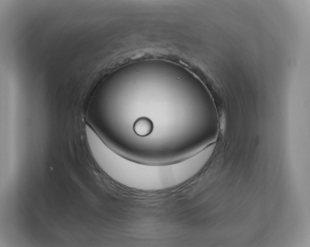 X0000113281492200909280941