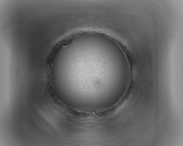 X0000113281494200909280941