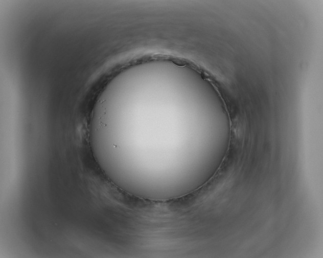 X0000113281495200909280941