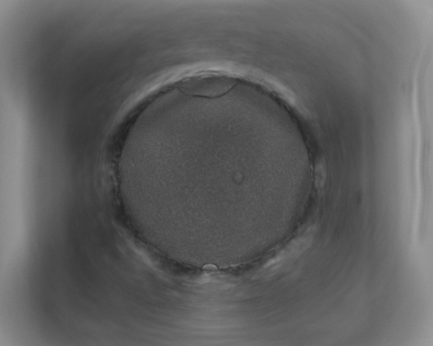 X0000113281496200909280941