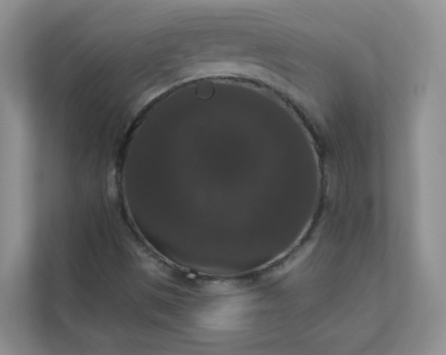 X0000113281497200909280941