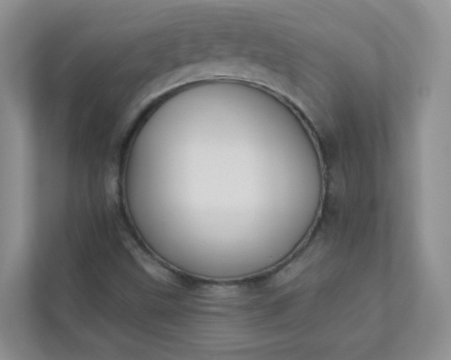 X0000113281499200909280941