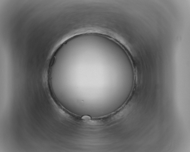 X0000113281500200909280941