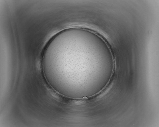 X0000113281501200909280941