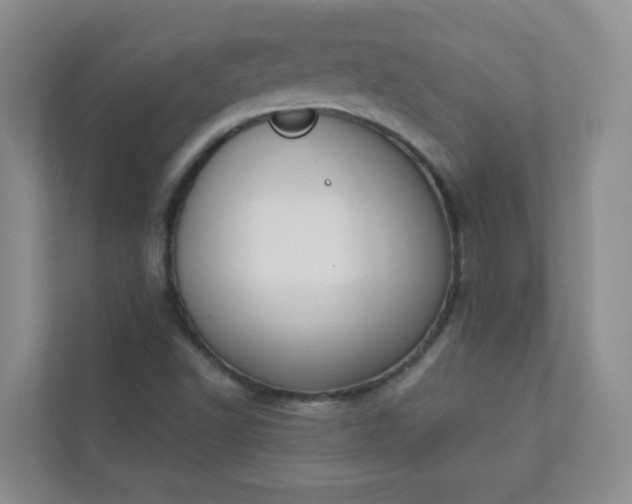 X0000113281502200909280941