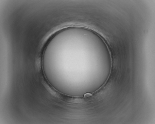 X0000113281503200909280941