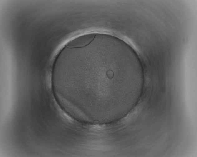 X0000113281504200909280941