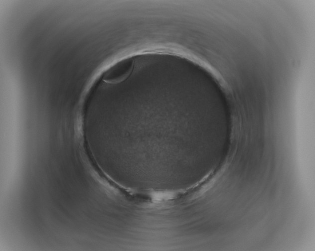 X0000113281506200909280941