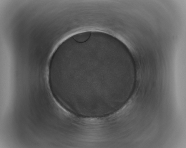 X0000113281508200909280941