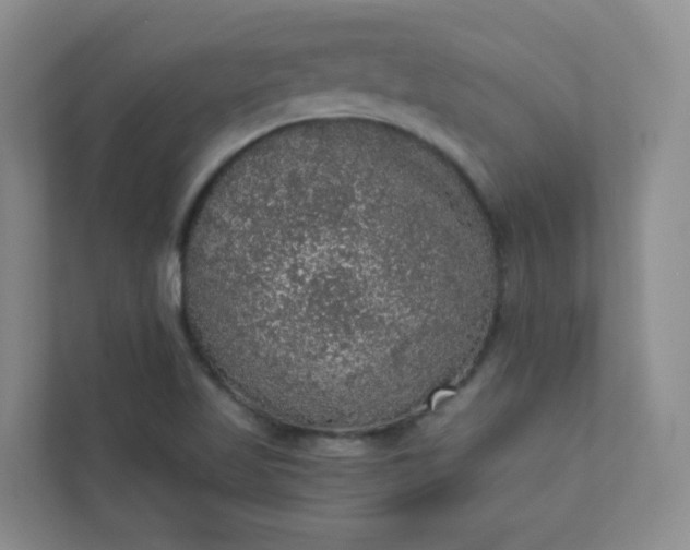 X0000113281509200909280941