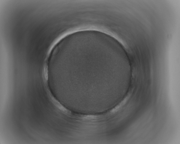 X0000113281510200909280941