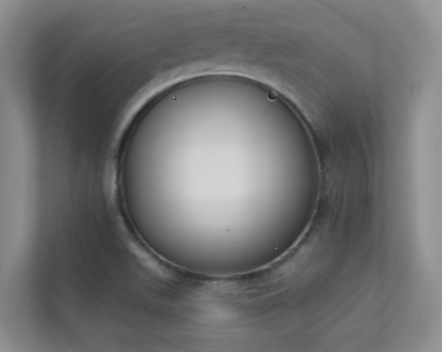 X0000113281511200909280941