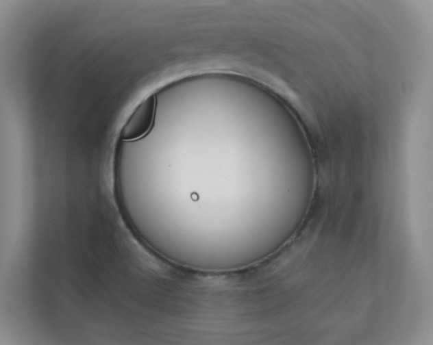 X0000113281512200909280941