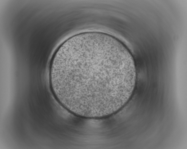 X0000113281514200909280941