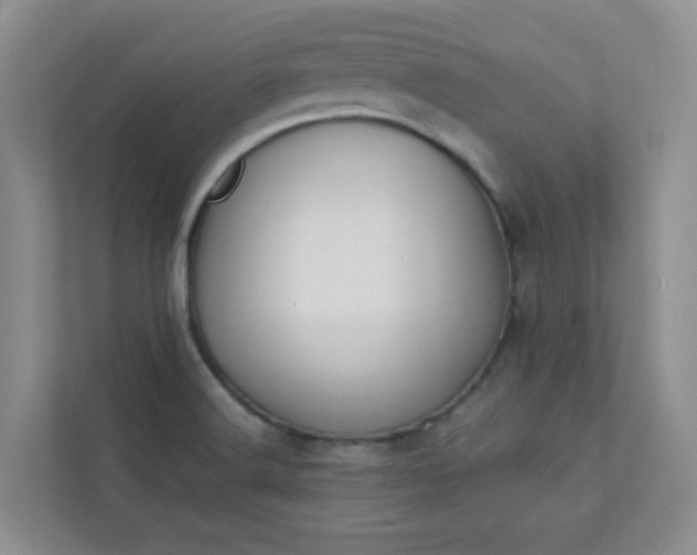 X0000113281516200909280941