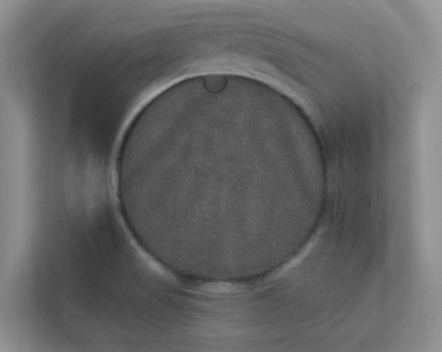 X0000113281517200909280941