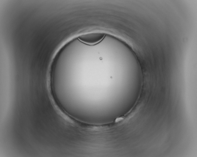 X0000113281518200909280941