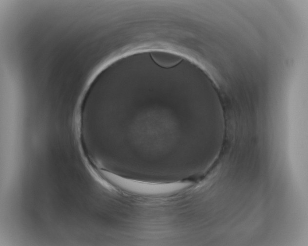 X0000113281519200909280941