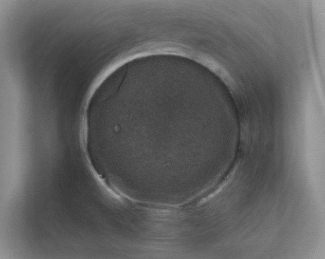 X0000113281520200909280942