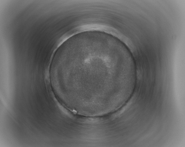 X0000113281521200909280942