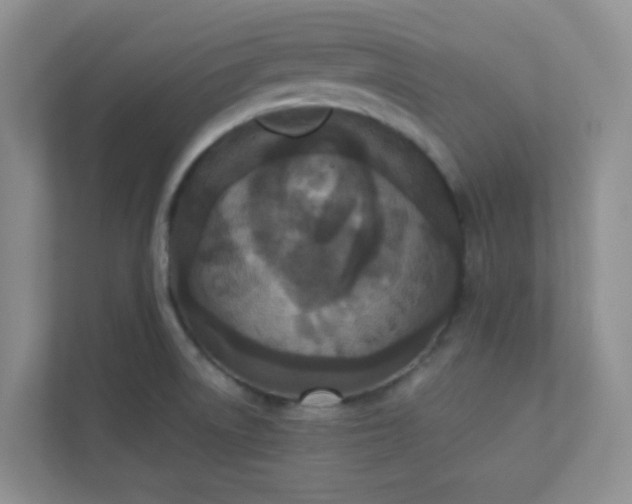 X0000113281522200909280942