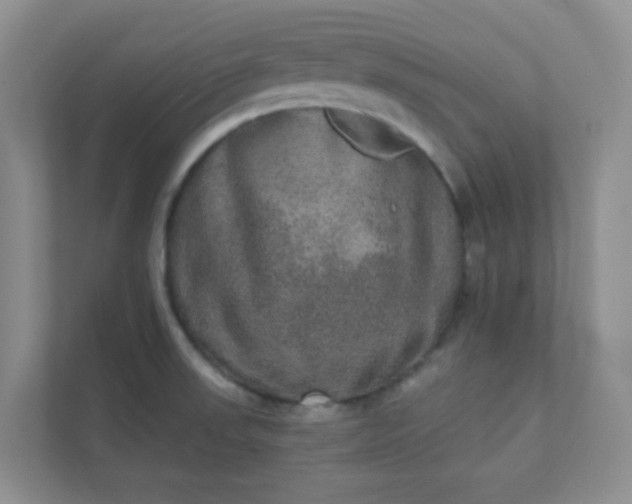 X0000113281523200909280942